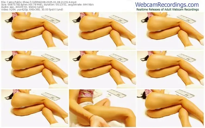 2025/01/08/cams-carina008-21-15-14