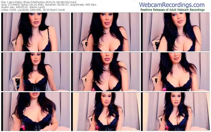 2025/01/08/cams-perfectits-08-15-02