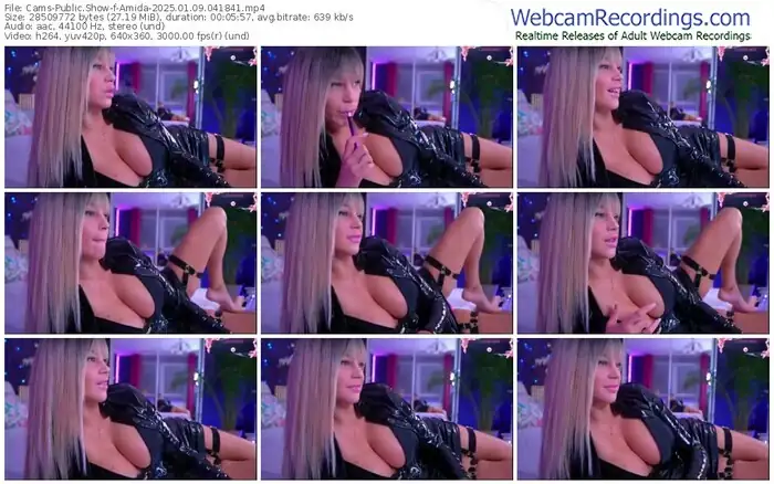 2025/01/09/cams-amida-04-18-41