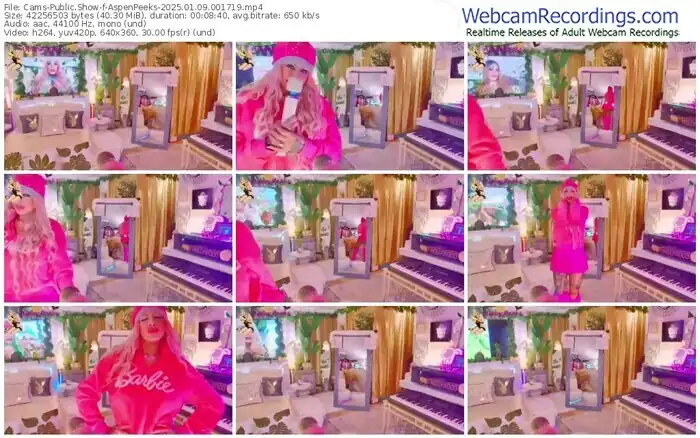 2025/01/09/cams-aspenpeeks-00-17-19