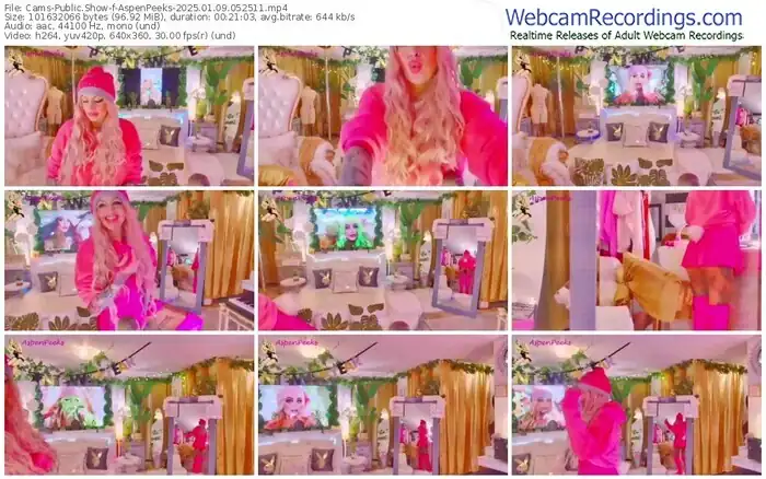 2025/01/09/cams-aspenpeeks-05-25-11