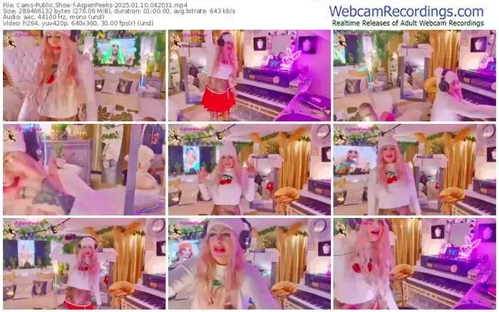 2025/01/10/cams-aspenpeeks-04-20-31