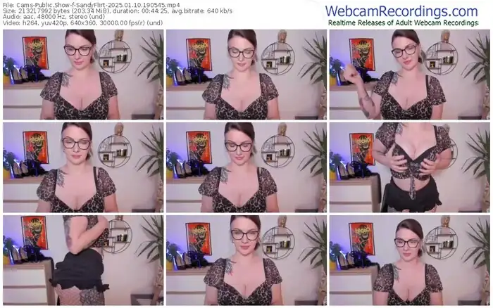 2025/01/10/cams-sandyflirt-19-05-45