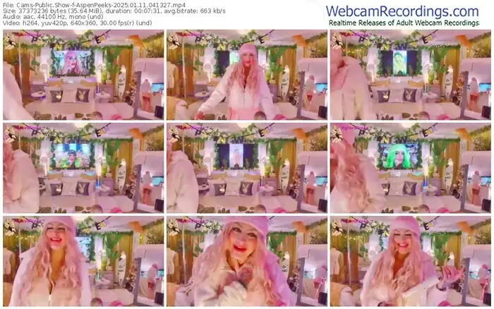 2025/01/11/cams-aspenpeeks-04-13-27