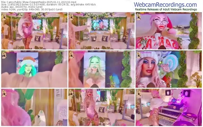 2025/01/11/cams-aspenpeeks-22-21-32