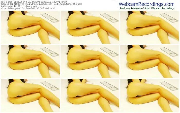 2025/01/11/cams-carina008-22-07-14