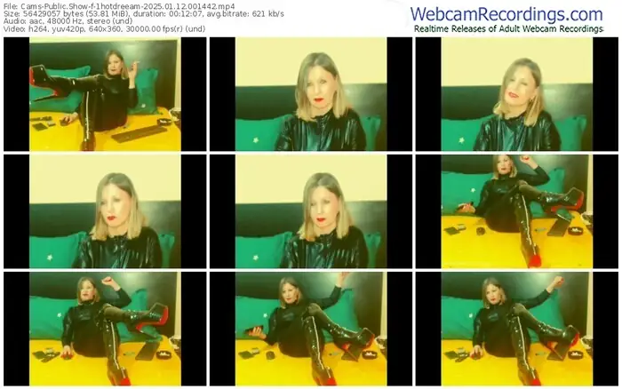 2025/01/12/cams-1hotdreeam-00-14-42