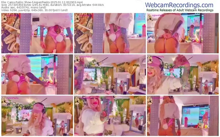 2025/01/12/cams-aspenpeeks-00-29-03