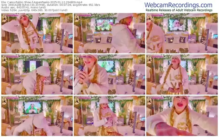 2025/01/12/cams-aspenpeeks-23-48-09