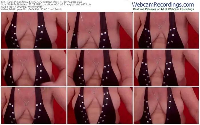 2025/01/12/cams-experiencedalana-22-48-04