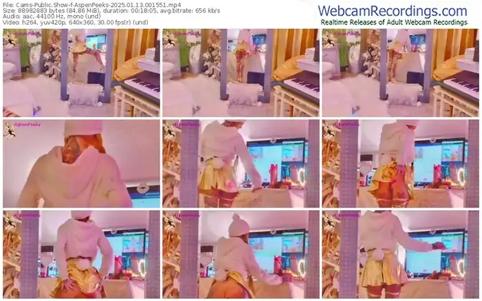 2025/01/13/cams-aspenpeeks-00-15-51