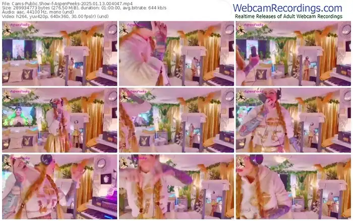 2025/01/13/cams-aspenpeeks-00-40-47