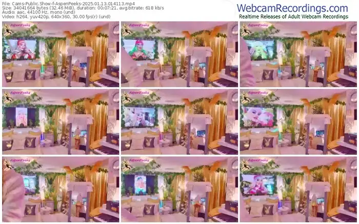 2025/01/13/cams-aspenpeeks-01-41-13