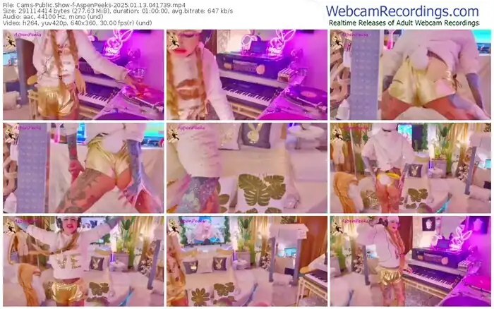 2025/01/13/cams-aspenpeeks-04-17-39