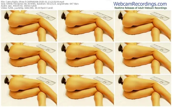 2025/01/13/cams-carina008-21-51-09