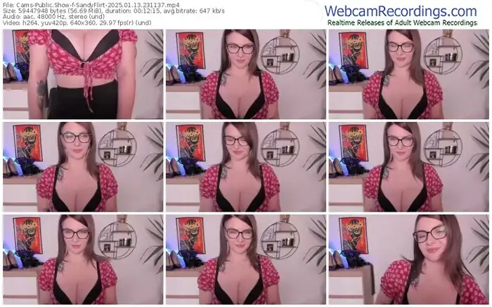 2025/01/13/cams-sandyflirt-23-11-37