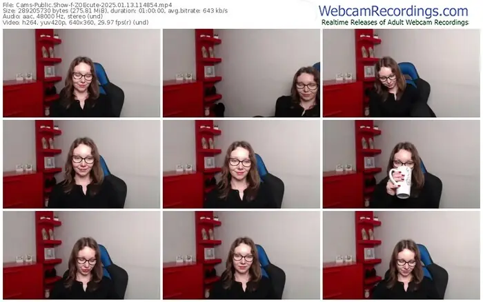 2025/01/13/cams-zoecute-11-48-54