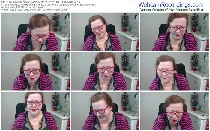 2025/01/14/cams-adeleemodel-07-54-06