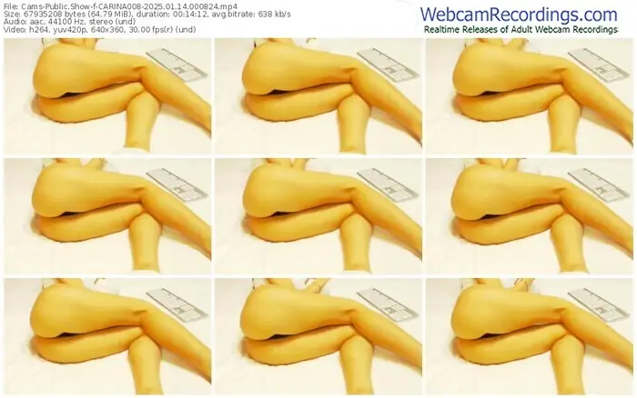 2025/01/14/cams-carina008-00-08-24