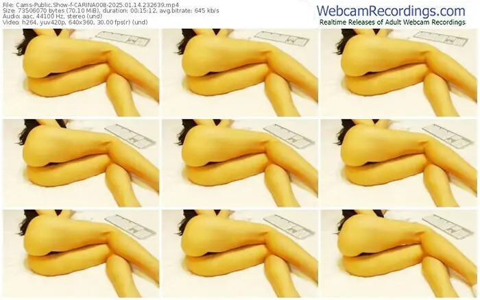 2025/01/14/cams-carina008-23-26-39