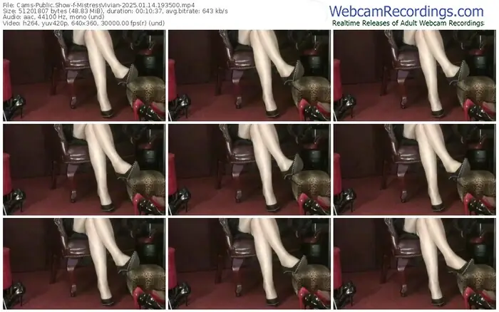 2025/01/14/cams-mistressvivian-19-35-00
