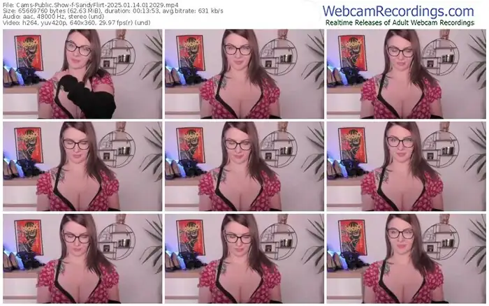 2025/01/14/cams-sandyflirt-01-20-29