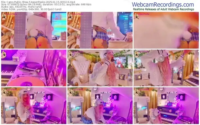2025/01/15/cams-aspenpeeks-00-01-16