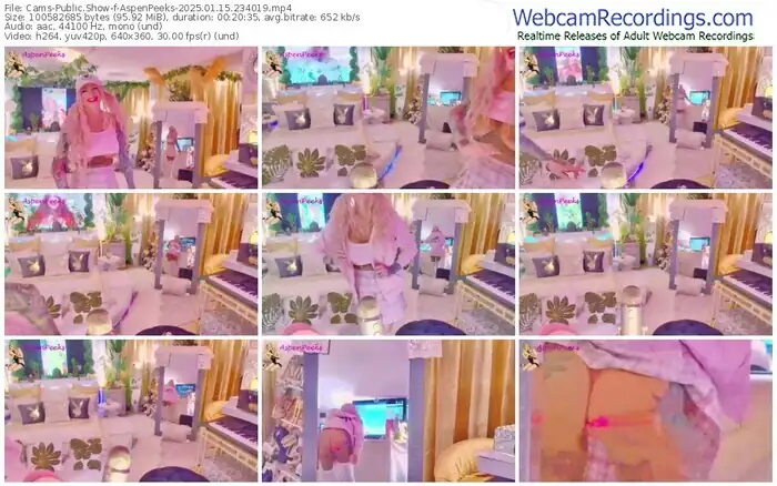 2025/01/15/cams-aspenpeeks-23-40-19