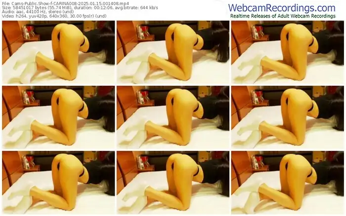 2025/01/15/cams-carina008-00-14-08