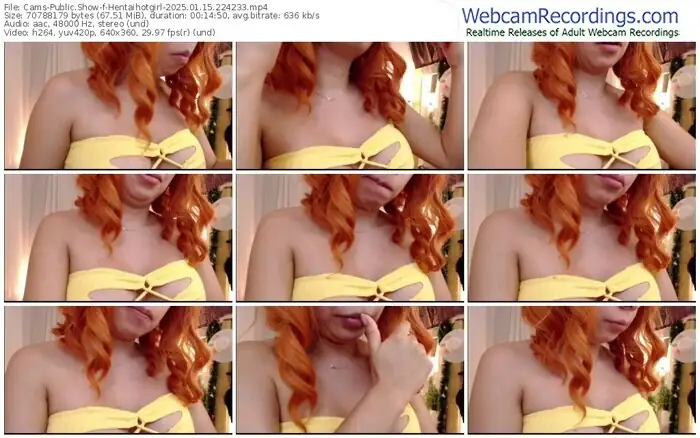 2025/01/15/cams-hentaihotgirl-22-42-33