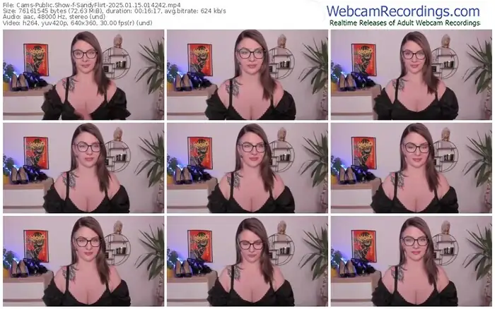 2025/01/15/cams-sandyflirt-01-42-42
