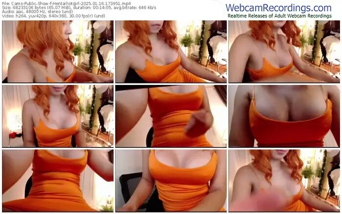 2025/01/16/cams-hentaihotgirl-17-39-51