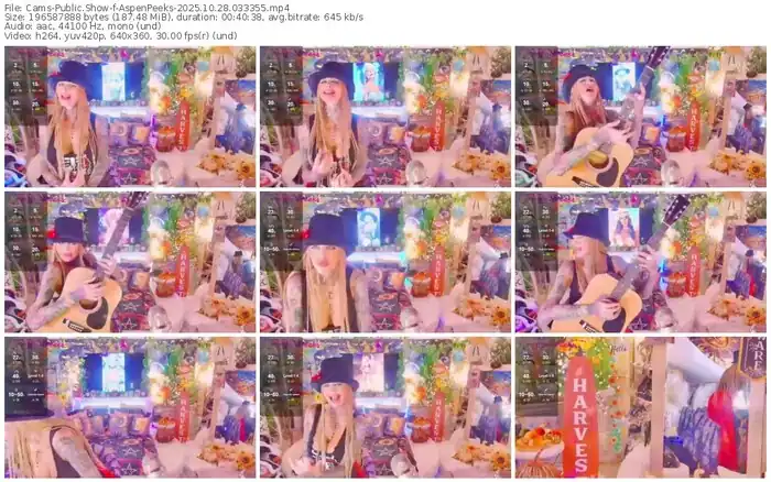 2025/10/28/cams-aspenpeeks-03-33-55