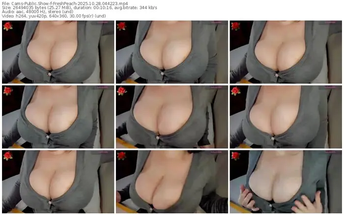 2025/10/28/cams-freshpeach-04-42-23