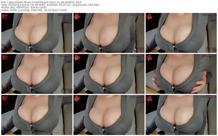 2025/10/28/cams-freshpeach-04-56-32