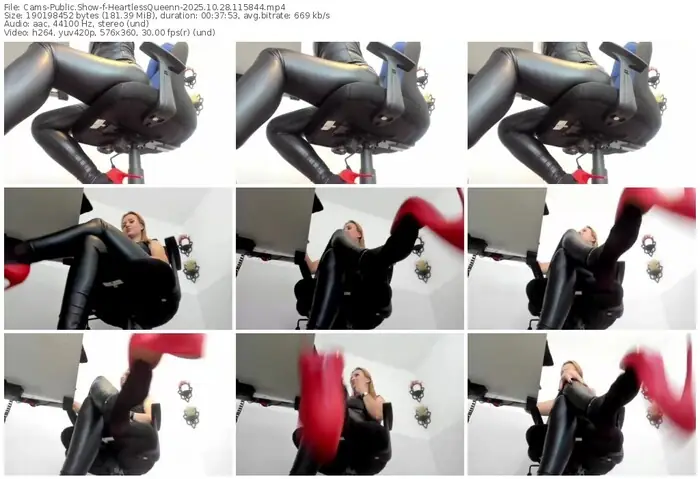 2025/10/28/cams-heartlessqueenn-11-58-44