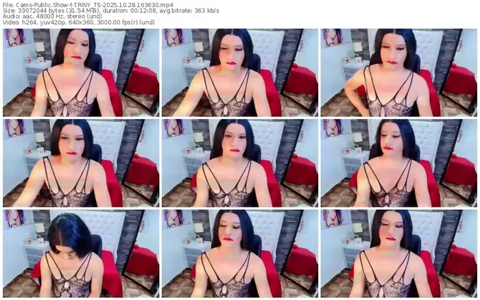 2025/10/28/cams-triny_ts-16-36-30