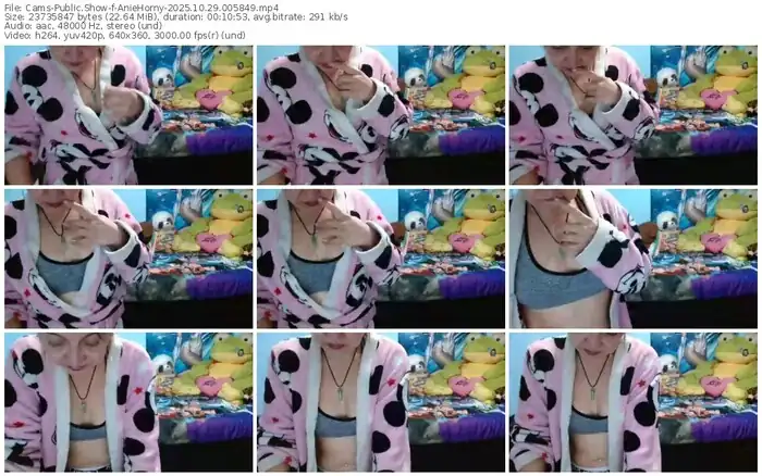 2025/10/29/cams-aniehorny-00-58-49