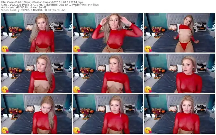 2025/11/01/cams-kassandrakat-17-32-44