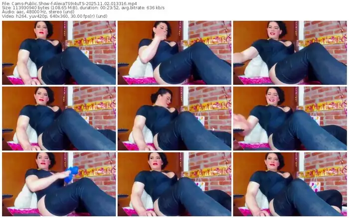 2025/11/02/cams-alexats9i4uts-01-33-16