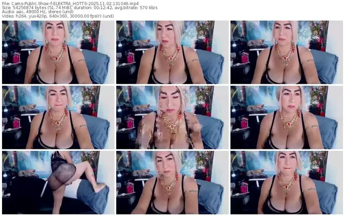2025/11/02/cams-elektra_hotts-13-10-46