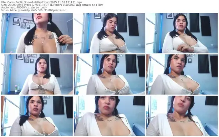 2025/11/02/cams-halleycloud-18-11-21