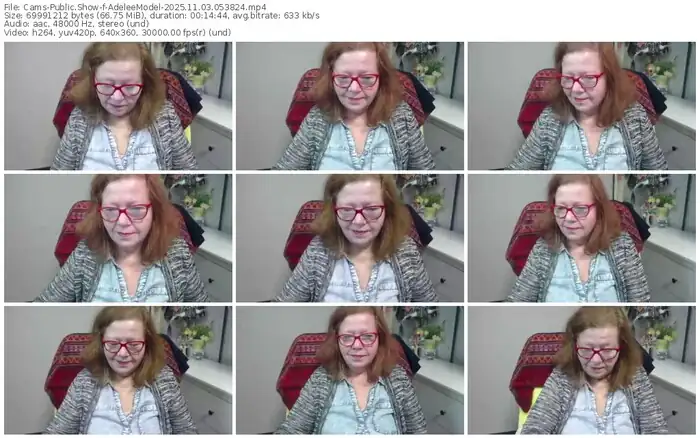 2025/11/03/cams-adeleemodel-05-38-24