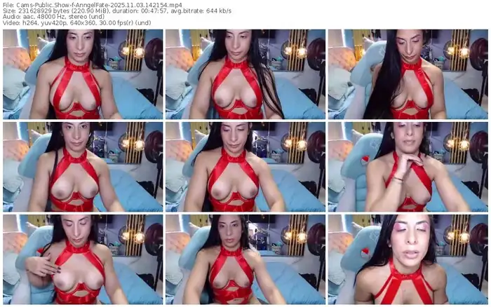 2025/11/03/cams-anngelfate-14-21-54