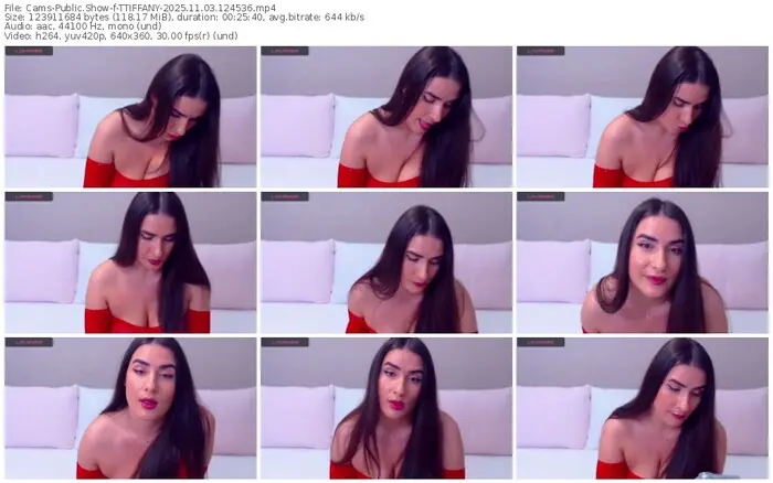 2025/11/03/cams-ttiffany-12-45-36