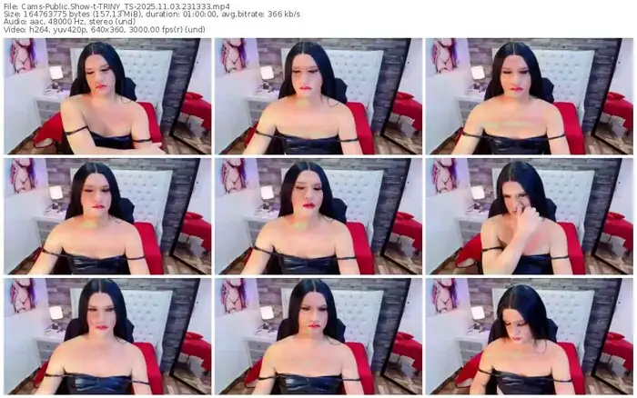 2025/11/03/cams-triny_ts-23-13-33