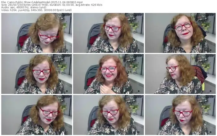 2025/11/04/cams-adeleemodel-06-08-02