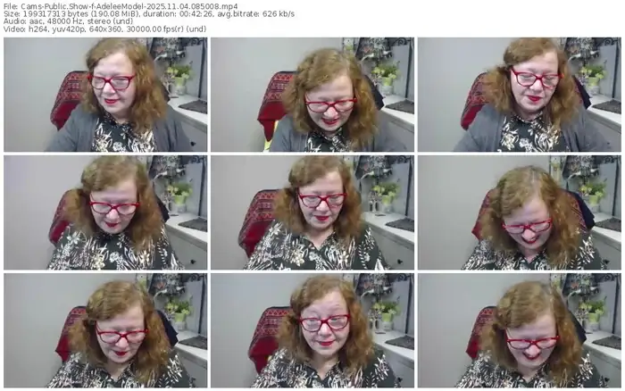 2025/11/04/cams-adeleemodel-08-50-08