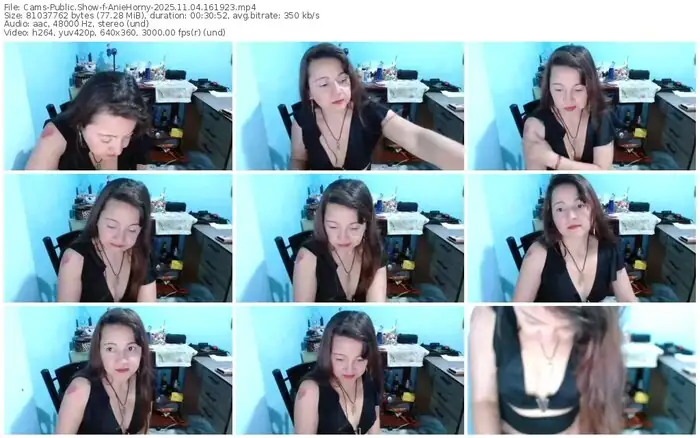 2025/11/04/cams-aniehorny-16-19-23