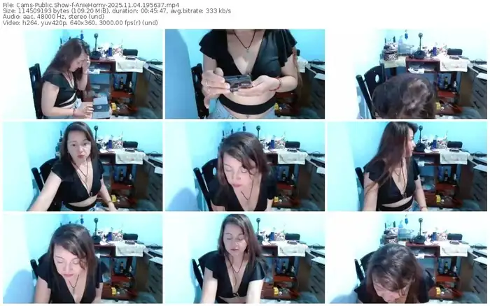 2025/11/04/cams-aniehorny-19-56-37